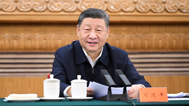 的球迷在比